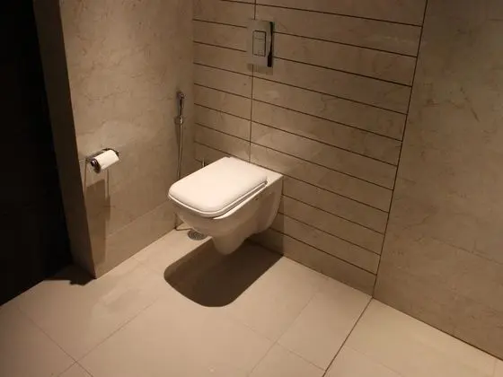 Standard Tek Büyük veya İki Ayrı Yataklı Oda, 1 Yatak Odası, Özel Banyo