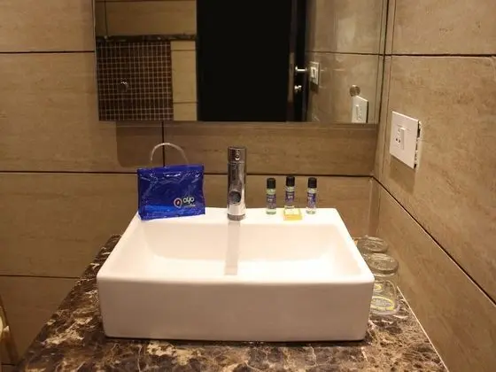 Standard Tek Büyük veya İki Ayrı Yataklı Oda, 1 Yatak Odası, Özel Banyo