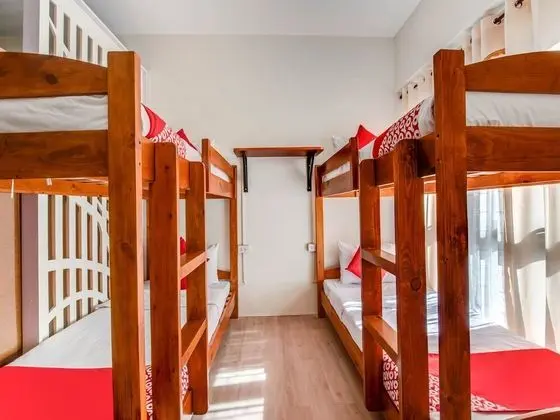 Standard Ortak Ranzalı Oda (Bunk 4 Bed)
