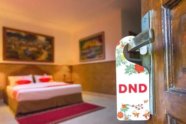 Superior Tek Büyük Yataklı Oda