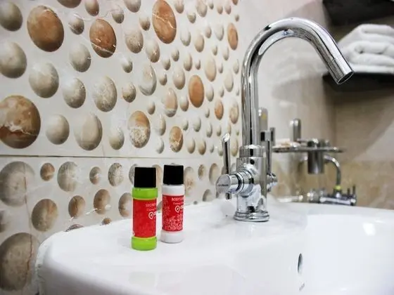 Standard Tek Büyük veya İki Ayrı Yataklı Oda, 1 Yatak Odası, Özel Banyo