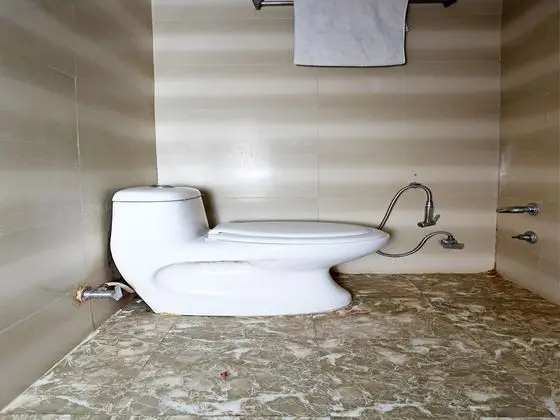 Standard Tek Büyük veya İki Ayrı Yataklı Oda, 1 Yatak Odası, Özel Banyo