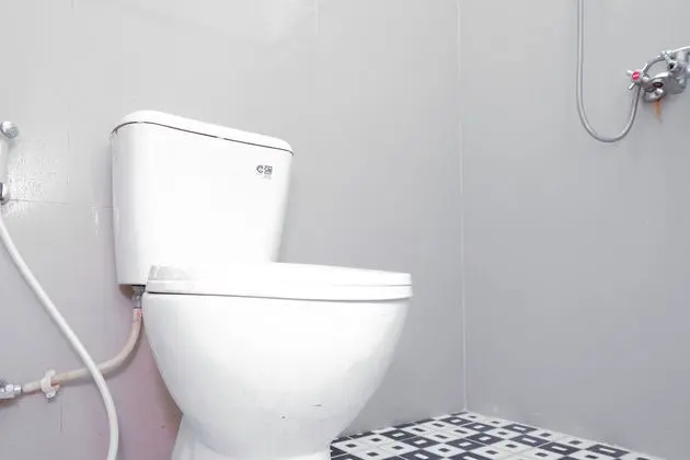 Çift ​​kişilik Standard