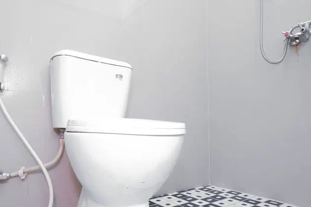Standard Tek Büyük Yataklı Oda, 1 Çift Kişilik Yatak