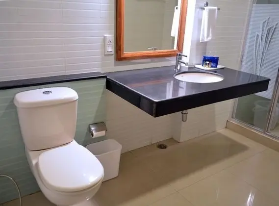 Standard Tek Büyük veya İki Ayrı Yataklı Oda, 1 Yatak Odası, Özel Banyo
