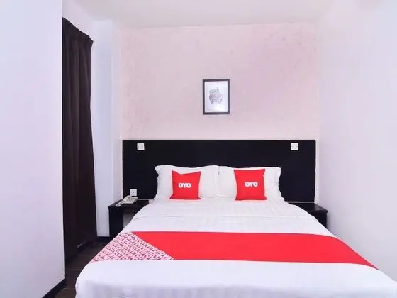 Deluxe Tek Büyük Yataklı Oda, 1 Büyük (Queen) Boy Yatak