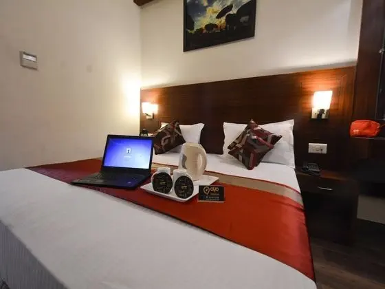 Standard Tek Büyük veya İki Ayrı Yataklı Oda, 1 Çift Kişilik Yatak, Özel Banyo