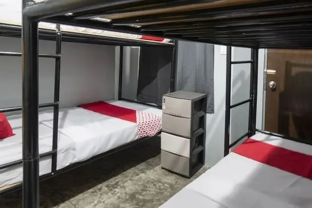 Standard Bunk 4 Bed