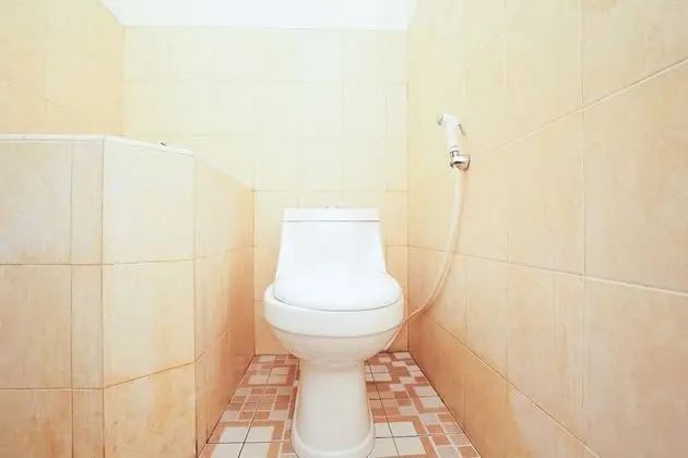 Deluxe Tek Büyük Yataklı Oda, 1 Çift Kişilik Yatak