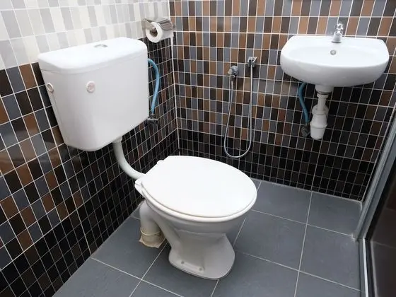 Deluxe Tek Büyük Yataklı Oda, 1 Çift Kişilik Yatak