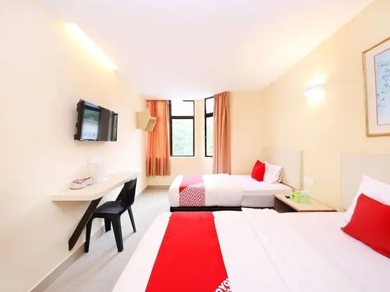 Deluxe İki Ayrı Yataklı Oda, 2 Tek Kişilik Yatak, Sigara İçilmez