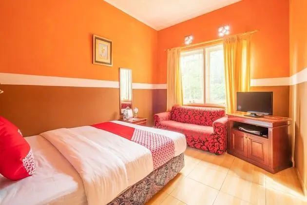 Deluxe Süit, 1 Çift Kişilik Yatak