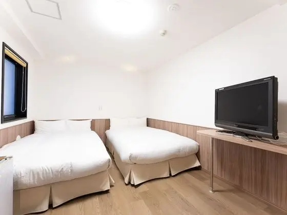 Deluxe İki Ayrı Yataklı Oda, Sigara İçilmez