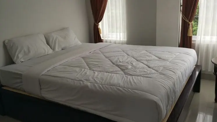 Standard Tek Büyük Yataklı Oda, 1 Çift Kişilik Yatak