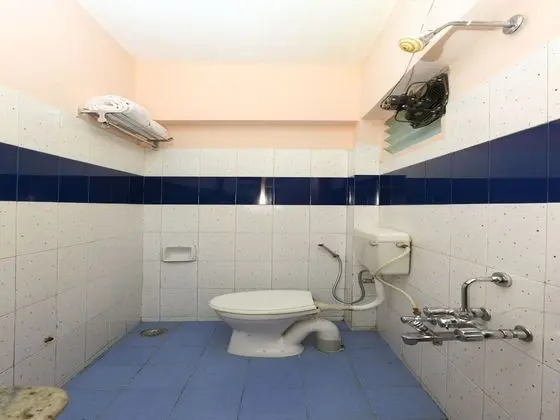 Standard Tek Büyük veya İki Ayrı Yataklı Oda, 1 Çift Kişilik Yatak, Özel Banyo