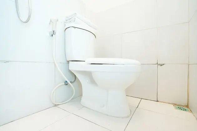 İkiz Standard