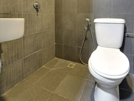 Deluxe Tek Büyük Yataklı Oda, 1 Büyük (Queen) Boy Yatak