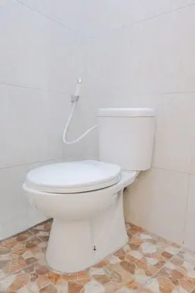 Çift ​​kişilik Standard