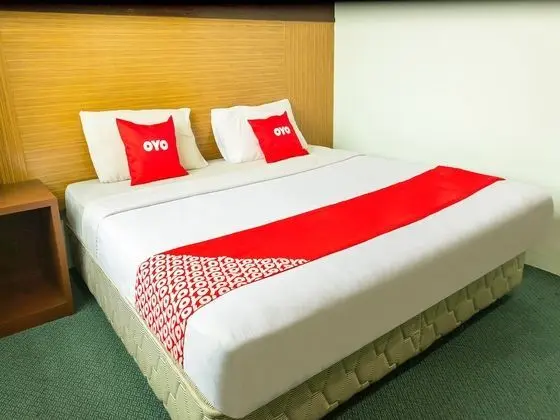 Deluxe Tek Büyük Yataklı Oda, 1 En Büyük (King) Boy Yatak