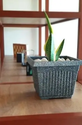 Üç Kişilik Oda, Özel Banyo
