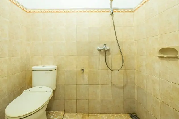 İkiz Standard