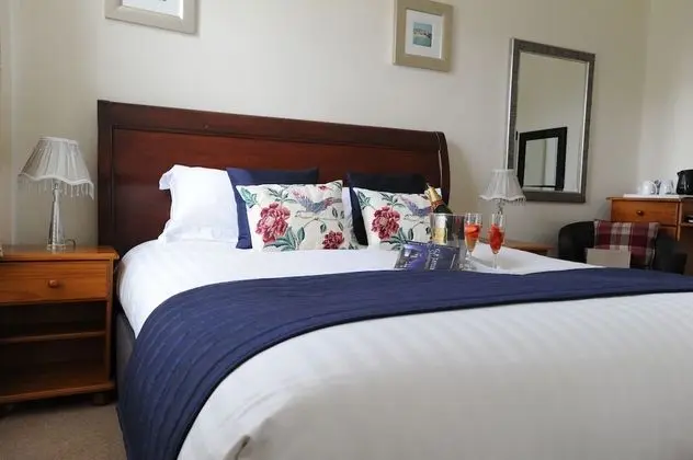 Deluxe Tek Büyük Yataklı Oda, Banyolu/Duşlu (with bath or shower)