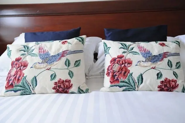 Deluxe Tek Büyük Yataklı Oda, Banyolu/Duşlu (with bath or shower)