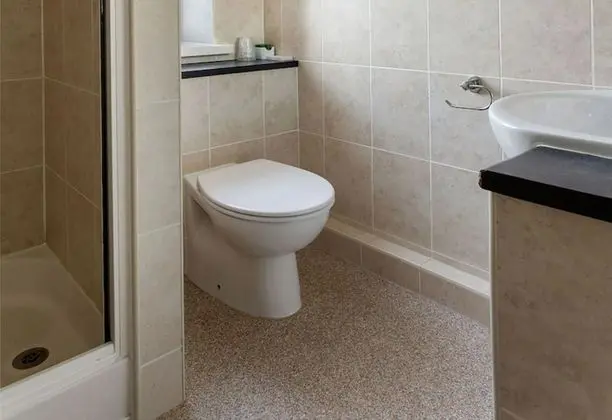 Standard Tek Büyük Yataklı Oda, Banyolu/Duşlu (with bath or shower)