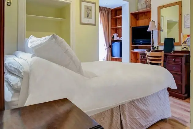 Deluxe Tek Büyük Yataklı Oda, 1 Çift Kişilik Yatak