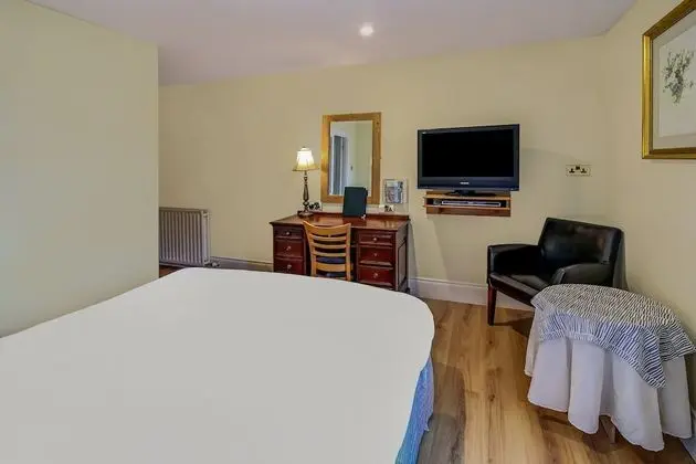 Deluxe Tek Büyük Yataklı Oda, 1 Çift Kişilik Yatak