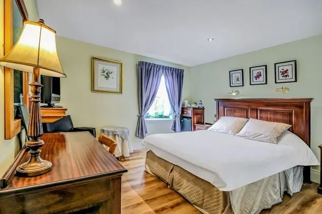 Deluxe Tek Büyük Yataklı Oda, 1 Çift Kişilik Yatak