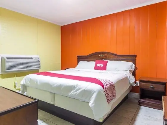 Oda, 1 En Büyük (King) Boy Yatak, Sigara İçilebilir