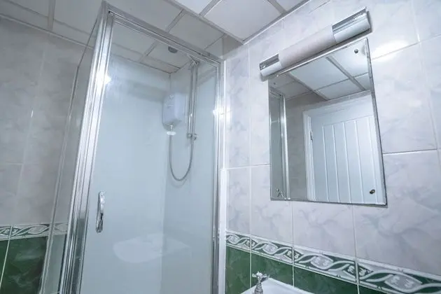 Standard Tek Büyük Yataklı Oda, 1 Çift Kişilik Yatak (Shared)