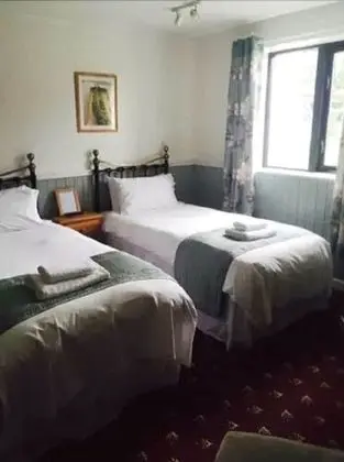 Standard Dört Kişilik Oda, 2 Çift Kişilik Yatak