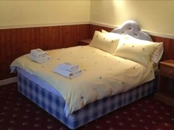 Standard Dört Kişilik Oda, 2 Çift Kişilik Yatak
