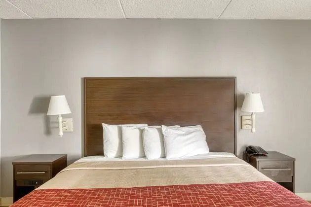 Oda Deluxe King Bed
