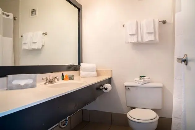 Standard Oda, 1 En Büyük (King) Boy Yatak, Sigara İçilmez