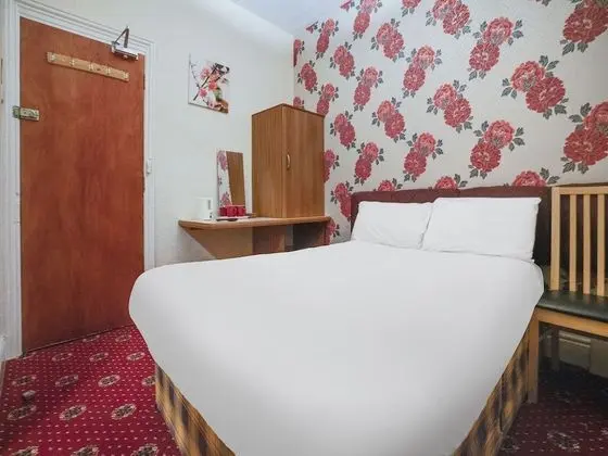 Standard Tek Büyük Yataklı Oda, 1 Çift Kişilik Yatak
