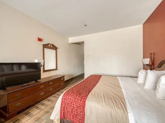 Oda Deluxe King Bed