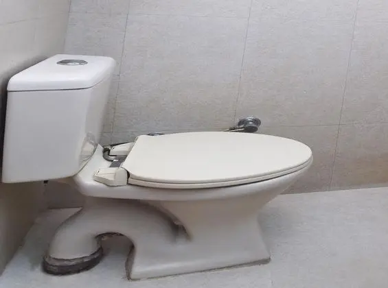 Deluxe Tek Büyük veya İki Ayrı Yataklı Oda, 1 En Büyük (King) Boy Yatak