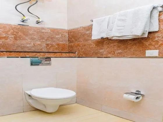 Standard Tek Büyük veya İki Ayrı Yataklı Oda, 1 Çift Kişilik Yatak, Özel Banyo