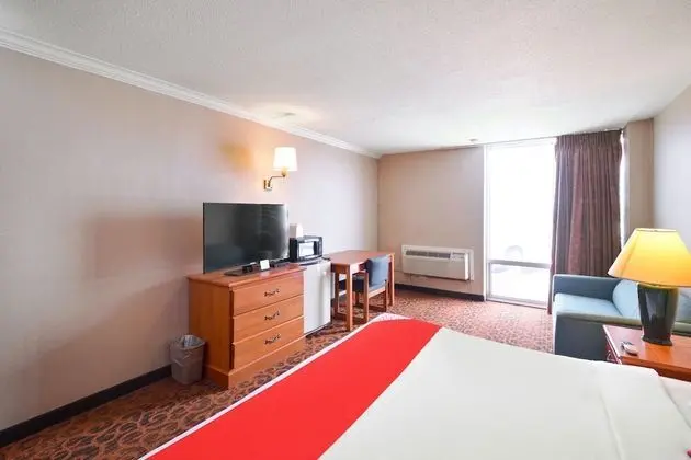 Oda, 1 En Büyük (King) Boy Yatak