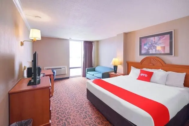 Oda, 1 En Büyük (King) Boy Yatak