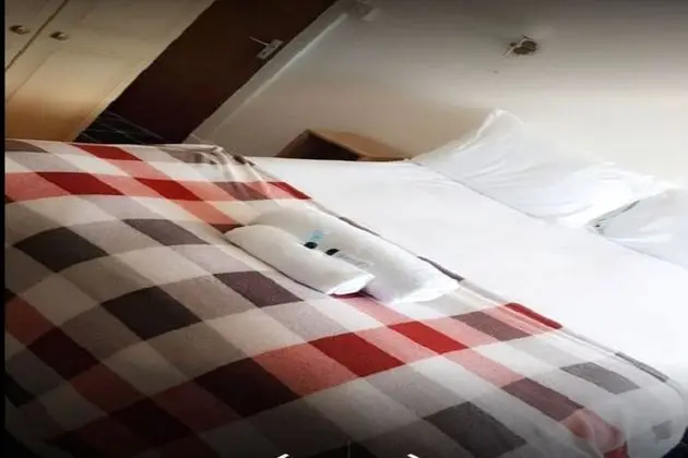 Standard Tek Büyük Yataklı Oda, 1 Çift Kişilik Yatak