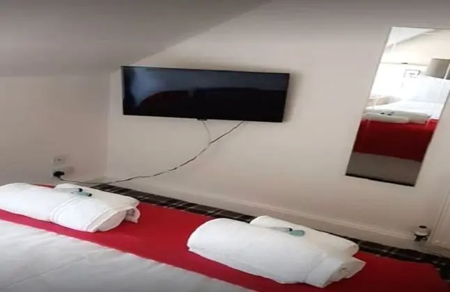 Standard Tek Büyük Yataklı Oda, 1 Çift Kişilik Yatak