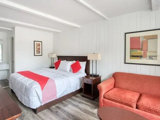 Oda, 1 En Büyük (King) Boy Yatak, Sigara İçilebilir