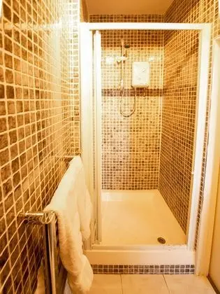 Standard Tek Büyük Yataklı Oda, 1 Çift Kişilik Yatak
