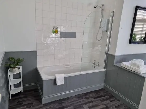 Standard Tek Büyük Yataklı Oda, 1 Çift Kişilik Yatak