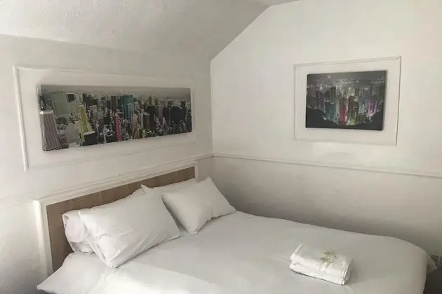 Standard Tek Büyük Yataklı Oda, 1 En Büyük (King) Boy Yatak