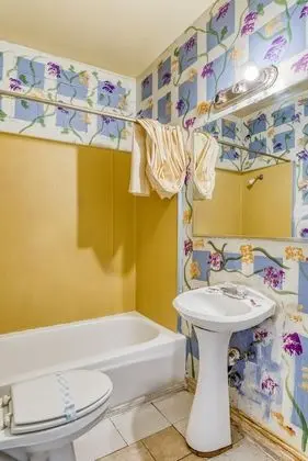 Premium Oda, 1 En Büyük (King) Boy Yatak, Sigara İçilebilir